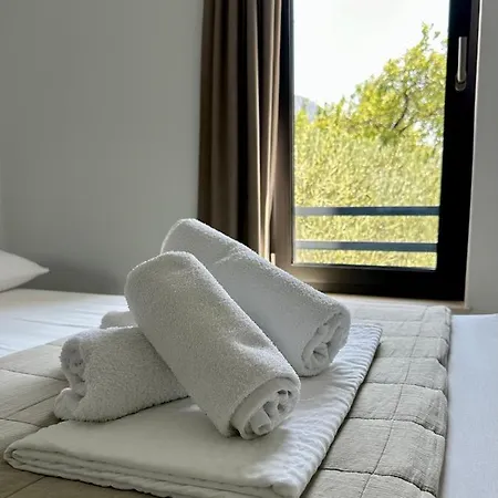 Zen Gostinjska kuća Brist