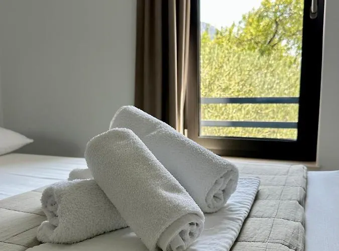 Zen Guest house Brist